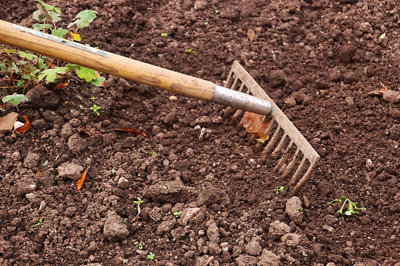 Pruning Tools